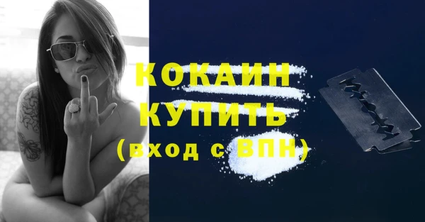 соль ск Ладушкин